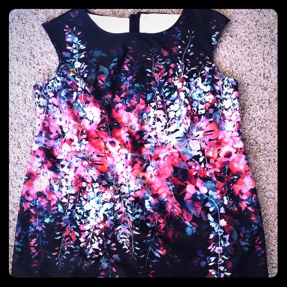 Plus Size Fit and Flare Dress